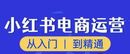 顽石小红书电商高阶运营课程，从入门到精通，玩法流程持续更新-创奇社 - AI前沿·副业变现·资源教程！