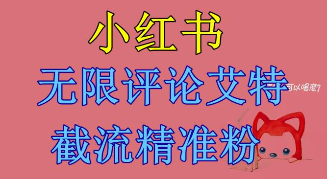小红书无限评论艾特截流精准粉（软件+教程）-创奇社 - AI前沿·副业变现·资源教程！