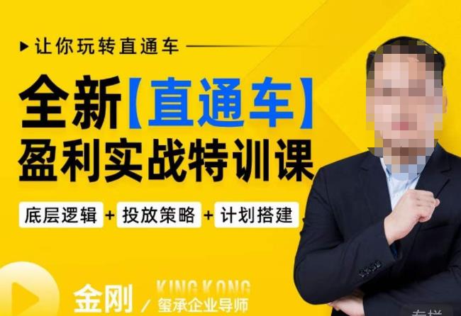 玺承·全新直通车盈利实战特训课，从​底层逻辑详细拆解，从底层，策略到搭建，让你玩转直通车-创奇社 - AI前沿·副业变现·资源教程！