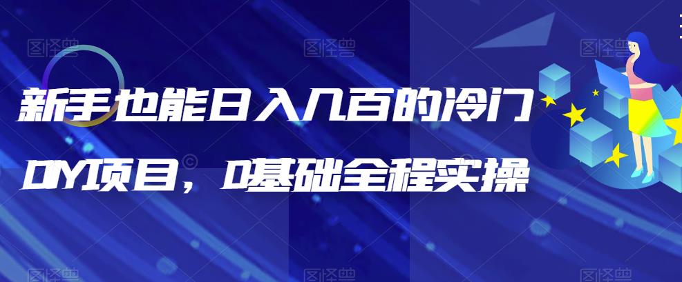 新手也能日入几百的冷门DIY项目，0基础全程实操【揭秘】-1
