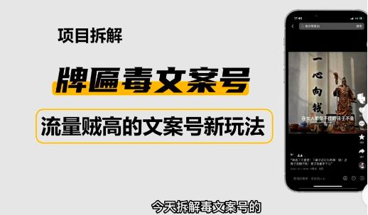 2023抖音快手毒文案新玩法，牌匾文案号，起号快易变现-创奇社 - AI前沿·副业变现·资源教程！
