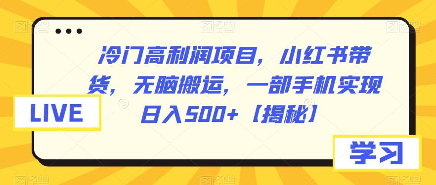 冷门高利润项目，小红书带货，无脑搬运，一部手机实现日入500+【揭秘】-创奇社 - AI前沿·副业变现·资源教程！
