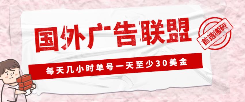 外面收费1980的最新国外LEAD广告联盟搬砖项目，单号一天至少30美金【详细玩法教程】-1