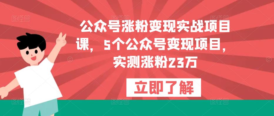 公众号涨粉变现实战项目课，5个公众号变现项目，实测涨粉23万-创奇社 - AI前沿·副业变现·资源教程！