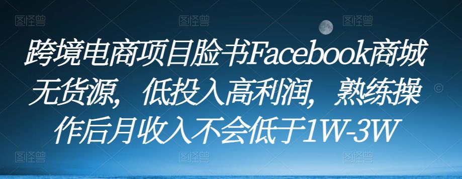 跨境电商项目脸书Facebook商城无货源，低投入高利润，熟练操作后月收入不会低于1W-3W-创奇社 - AI前沿·副业变现·资源教程！