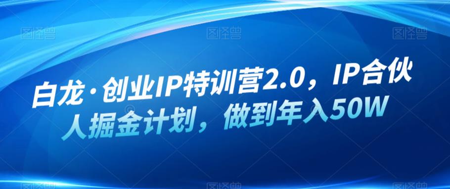 白龙·创业IP特训营2.0，IP合伙人掘金计划，做到年入50W-创奇社 - AI前沿·副业变现·资源教程！