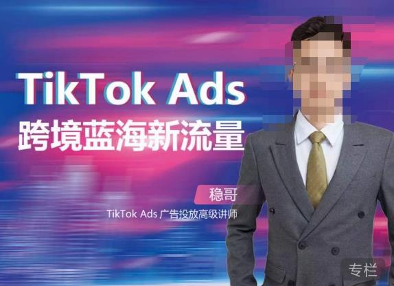 稳哥·如何投出高ROI的TikTok广告，开拓独立站卖家流量新蓝海-创奇社 - AI前沿·副业变现·资源教程！