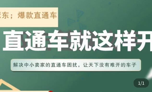 冠东·淘系直通车保姆级教程，全面讲解直通车就那么简单-创奇社 - AI前沿·副业变现·资源教程！