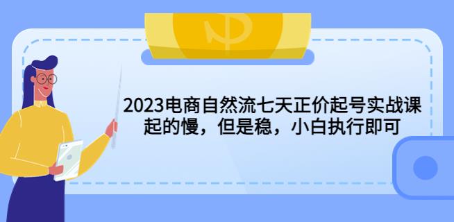 2023电商自然流七天正价起号实战课：起的慢，但是稳，小白执行即可！-创奇社 - AI前沿·副业变现·资源教程！