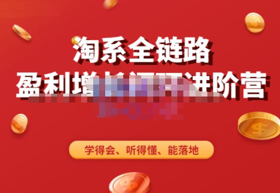 淘系全链路盈利增长闭环进阶营，融合全店动销，学得会、听得懂、能落地！-创奇社 - AI前沿·副业变现·资源教程！