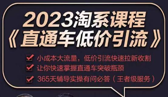 2023直通车低价引流玩法课程，小成本大流量，低价引流快速拉新收割，让你快速掌握直通车突破瓶颈-创奇社 - AI前沿·副业变现·资源教程！