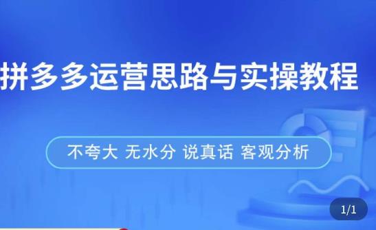 拼多多店铺运营思路与实操教程，快速学会拼多多开店和运营，少踩坑，多盈利-创奇社 - AI前沿·副业变现·资源教程！