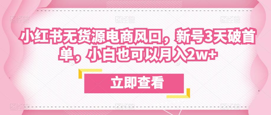 众狼电商余文小红书无货源电商风口，新号3天破首单，小白也可以月入2w+-创奇社 - AI前沿·副业变现·资源教程！