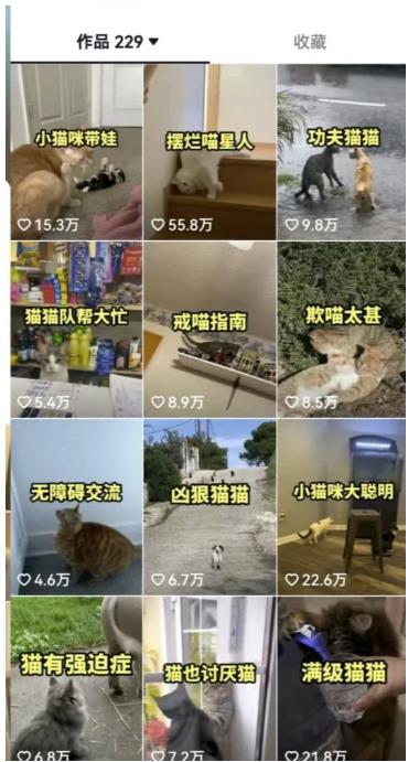 拆解抖音盘点类中视频变现副业项目，视频版一条龙大解析分享给你【视频课程】-3