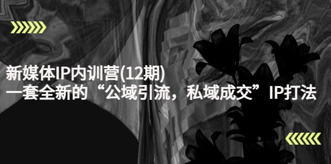 新媒體IP内訓營(12期)，一套全新的“公域引流，私域成交”IP打法，直接帶走