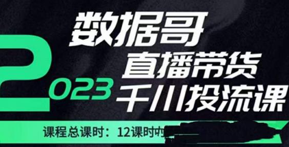 数据哥2023直播电商巨量千川付费投流实操课，快速掌握直播带货运营投放策略-创奇社 - AI前沿·副业变现·资源教程！