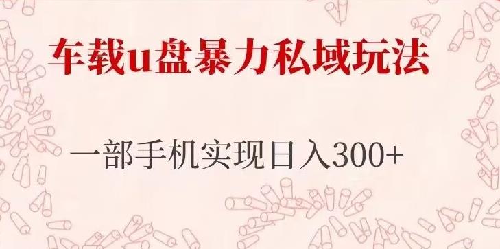 车载u盘暴力私域玩法，长期项目，仅需一部手机实现日入300+-创奇社 - AI前沿·副业变现·资源教程！