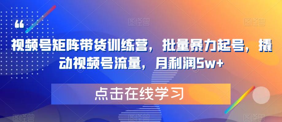视频号矩阵带货训练营，批量暴力起号，撬动视频号流量，月利润5w+-创奇社 - AI前沿·副业变现·资源教程！