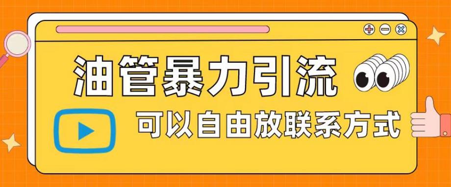 油管暴力引流，可以自由放联系方式【揭秘】-创奇社 - AI前沿·副业变现·资源教程！