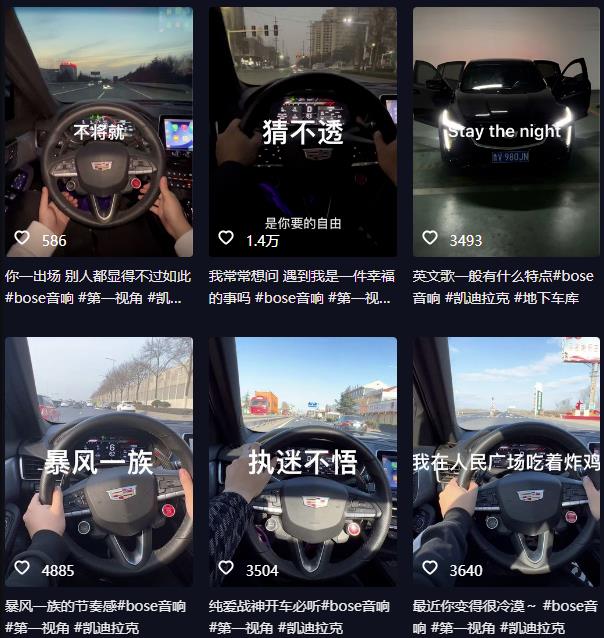 抖音开车视频项目，0基础操作，每天五分钟，月入1W+【揭秘】-2