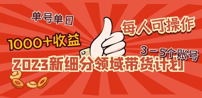 2023新细分领域带货计划：单号单日1000+收益不难，每人可操作3-5个账号-创奇社 - AI前沿·副业变现·资源教程！
