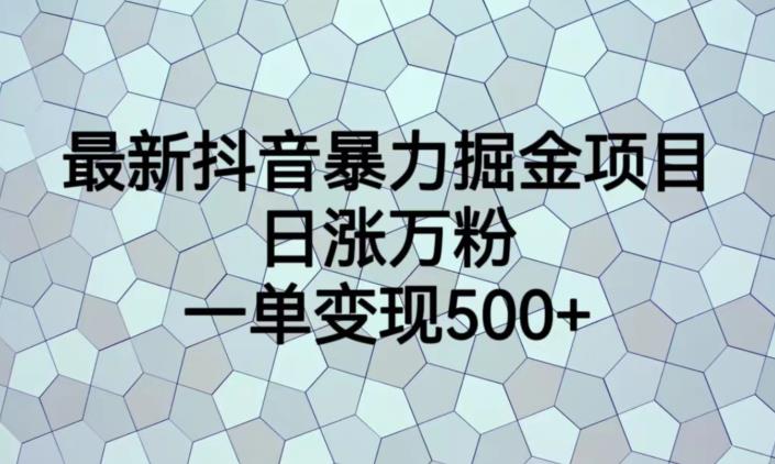 最新抖音暴力掘金项目，日涨万粉，一单变现500+【揭秘】-创奇社 - AI前沿·副业变现·资源教程！