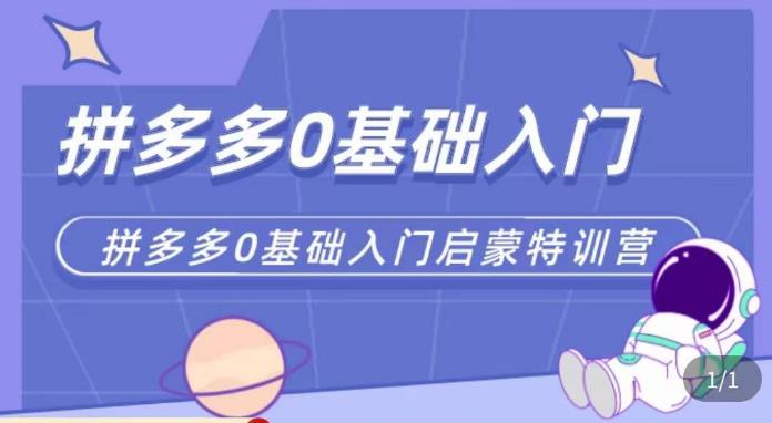 六一电商·拼多多运营0-1实操特训营，拼多多从基础到进阶的可实操玩法-创奇社 - AI前沿·副业变现·资源教程！
