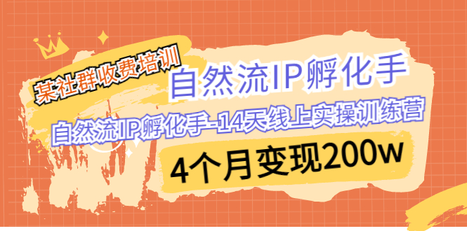 （6924期）某社群收费培训：自然流IP 孵化手-14天线上实操训练营 4个月变现200w-创奇社