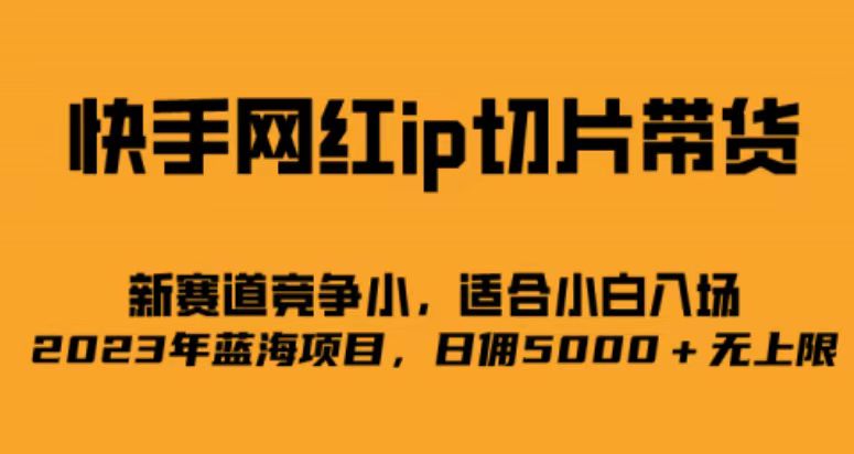 （6832期）快手网红ip切片新赛道，竞争小事，适合小白  2023蓝海项目-创奇社