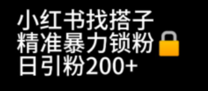（6807期）小红书找搭子暴力精准锁粉+引流日引200+精准粉-创奇社