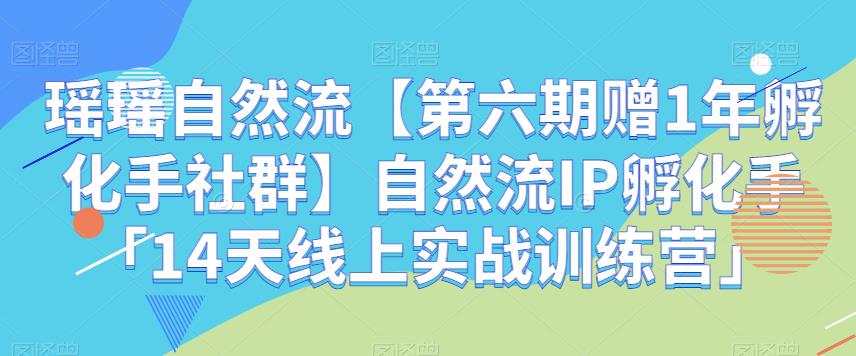 瑶瑶自然流【第六期赠1年孵化手社群】自然流IP孵化手「14天线上实战训练营」-创奇社 - AI前沿·副业变现·资源教程！