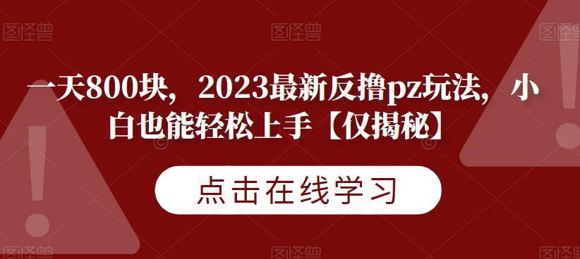一天800块，2023最新反撸pz玩法，小白也能轻松上手【仅揭秘】-创奇社 - AI前沿·副业变现·资源教程！
