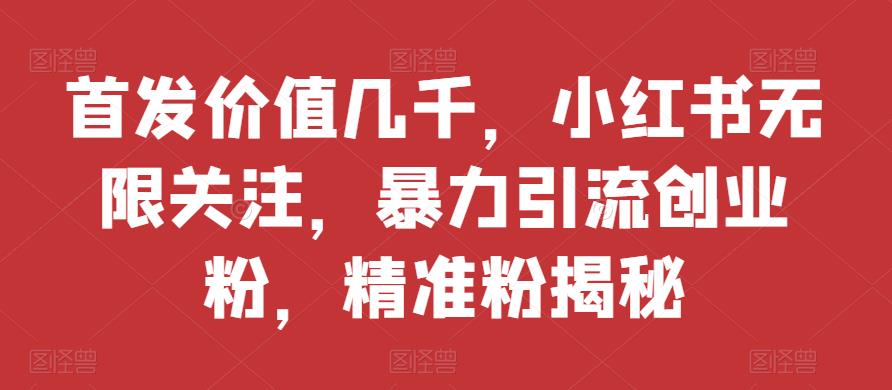 首发价值几千，小红书无限关注，暴力引流创业粉，精准粉揭秘-1