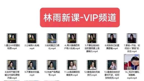 林雨新课VIP频道，玩赚私域/朋友圈/社群-创奇社 - AI前沿·副业变现·资源教程！
