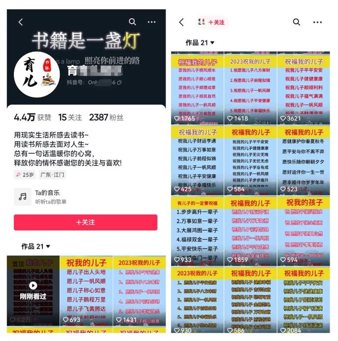 黄岛主·视频号儿女祝福视频引流变现分享课，银发经济新风囗【视频+素材】-2