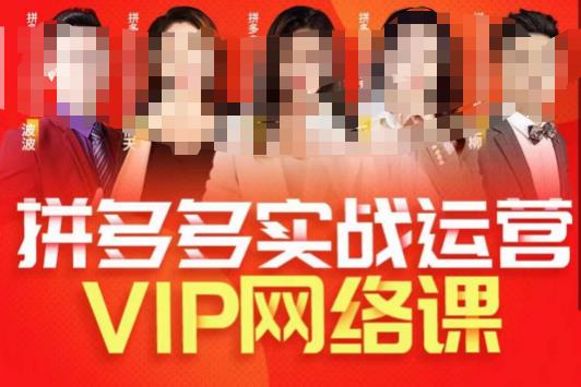 推易拼多多VIP全套直播课程，拼多多店铺实操玩法+实战玩法选款内功+直通车高阶等-创奇社 - AI前沿·副业变现·资源教程！