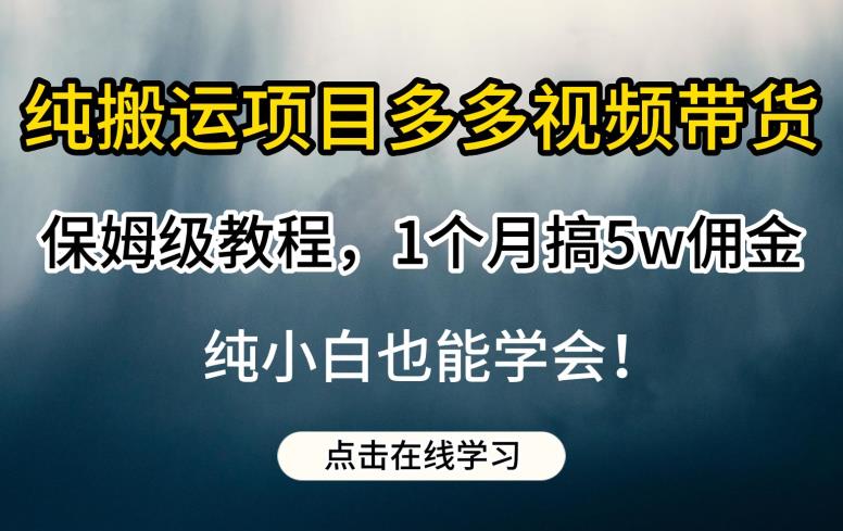 纯搬运项目多多视频带货保姆级教程，1个月搞5w佣金，纯小白也能学会【揭秘】-创奇社 - AI前沿·副业变现·资源教程！