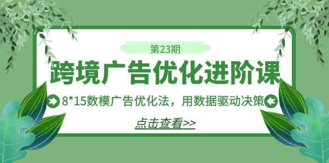 （7131期）跨境广告·优化进阶课·第23期，8*15数模广告优化法，用数据驱动决策-创奇社 - AI前沿·副业变现·资源教程！