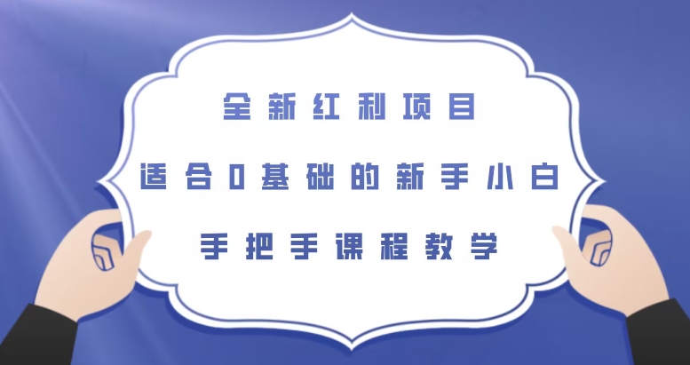 全新红利项目，适合0基础的新手小白，手把手课程教学【揭秘】-创奇社 - AI前沿·副业变现·资源教程！
