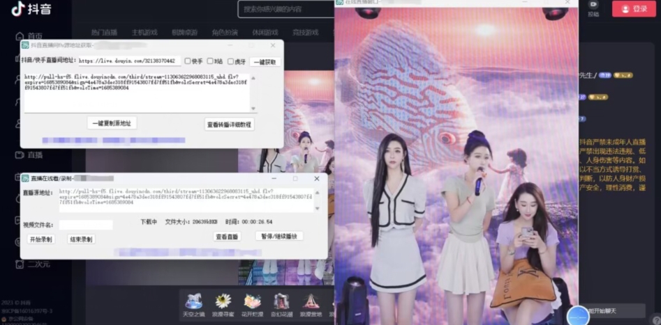 【高端精品】最新电脑版抖音/快手/B站直播源获取+直播间实时录制+直播转播软件【全套软件+详细教程】-2
