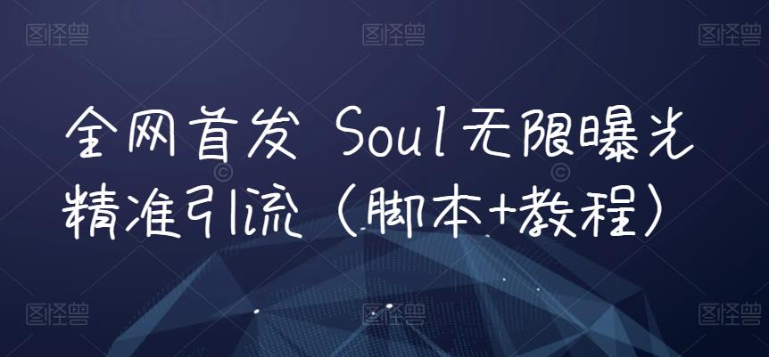 全网首发 Soul无限曝光精准引流（脚本+教程）-创奇社 - AI前沿·副业变现·资源教程！