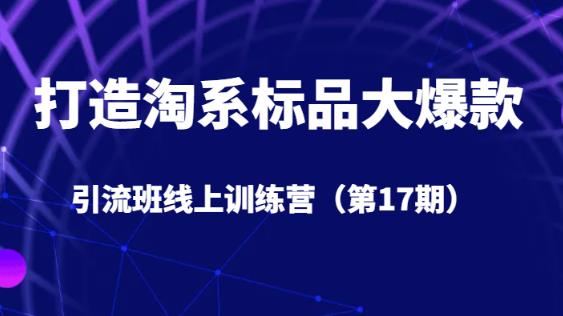 打造淘系标品大爆款引流班线上训练营（第17期）5天直播授课-创奇社 - AI前沿·副业变现·资源教程！
