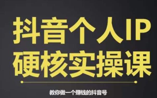 个人IP创富系统实战课，商业定位，流量打造，短视频变现，教你做个赚钱的抖音号-1