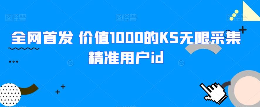 全网首发 价值1000的KS无限采集精准用户id-创奇社 - AI前沿·副业变现·资源教程！