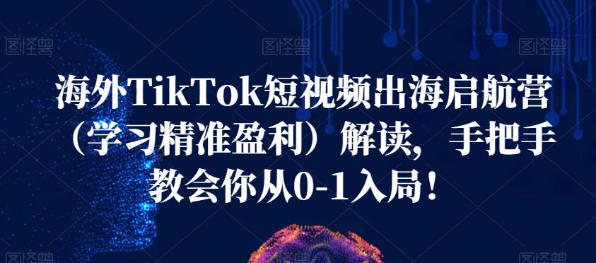 海外TikTok短视频出海启航营（学习精准盈利）解读，手把手教会你从0-1入局！-创奇社 - AI前沿·副业变现·资源教程！
