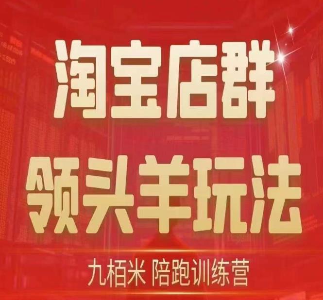 九栢米-淘宝店群领头羊玩法，教你整个淘宝店群领头羊玩法以及精细化/终极蓝海/尾销等内容-创奇社 - AI前沿·副业变现·资源教程！