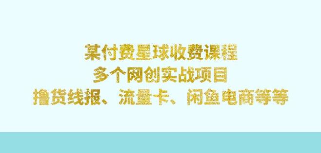 某付费星球课程：多个网创实战项目，撸货线报、流量卡、闲鱼电商等（文档非视频）-创奇社 - AI前沿·副业变现·资源教程！