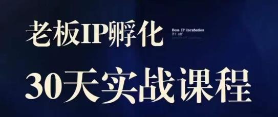 诸葛·2023老板IP实战课，实体同城引流获客，IP孵化必听-创奇社 - AI前沿·副业变现·资源教程！