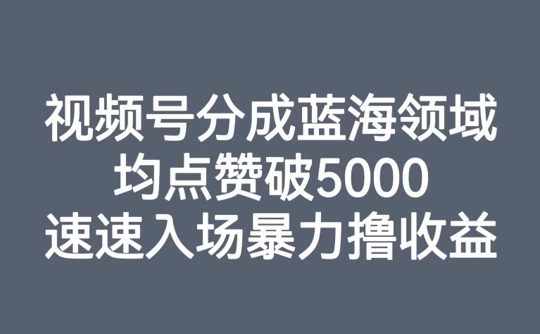 视频号分成蓝海领域，均点赞破5000，速速入场暴力撸收益-创奇社 - AI前沿·副业变现·资源教程！