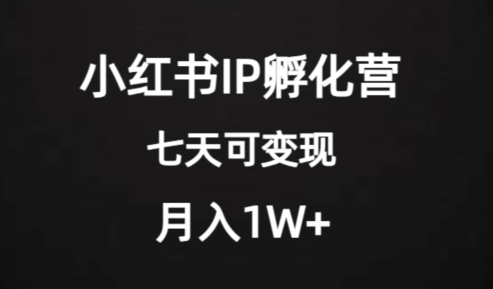 价值2000+的小红书IP孵化营项目，超级大蓝海，七天即可开始变现，稳定月入1W+-创奇社 - AI前沿·副业变现·资源教程！
